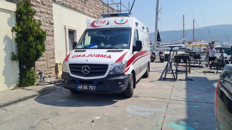Arı 61 yaşlı kişini öldürdü