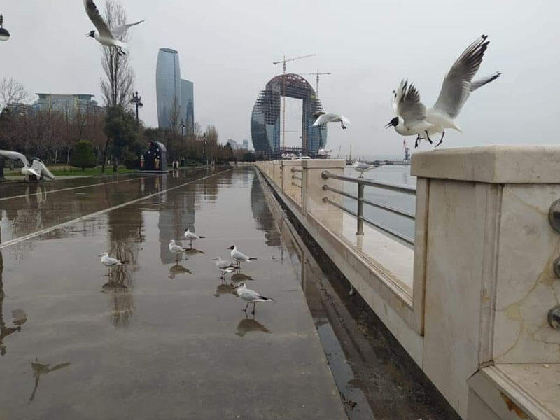Yağış, dolu, 38° isti - Sabahın havası