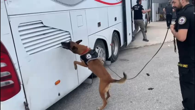 Sərnişin avtobusunda 76 kiloqram heroin ələ keçirildi