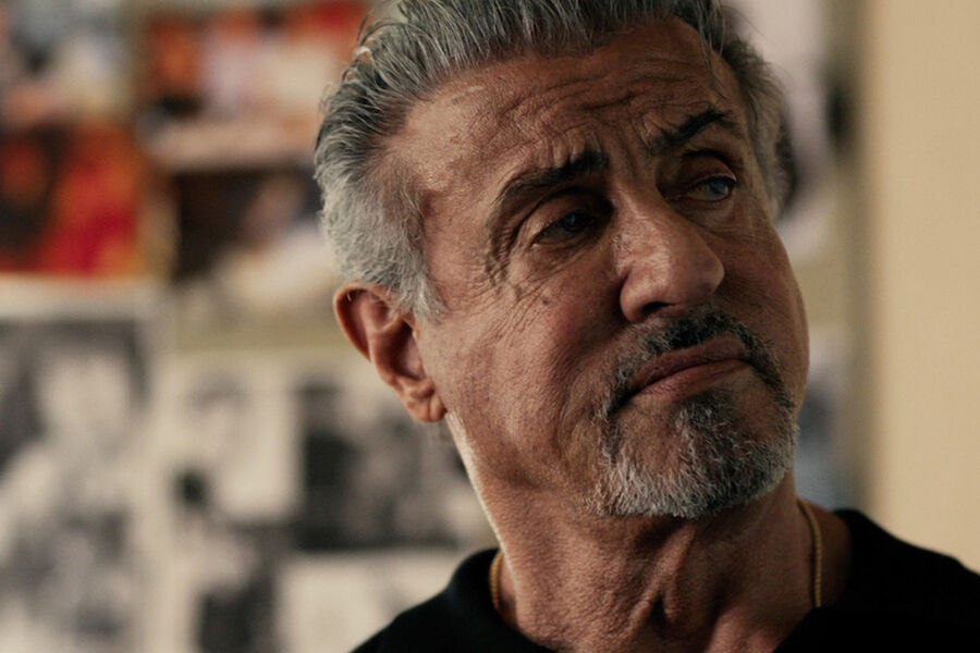 Roma Papası aktyor Silvestr Stallone ilə görüşüb
