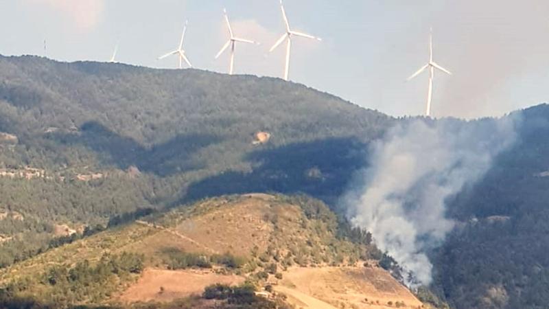 Türkiyədə meşə yanğınları başlayıb