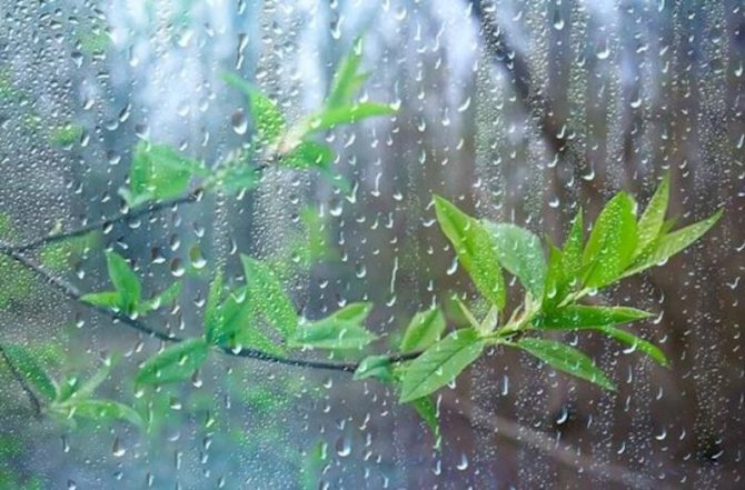 Sabahdan temperatur 5-10° enəcək – Xəbərdarlıq