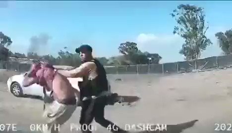 ŞOK GÖRÜNTÜ! Xəmas israillini görün necə öldürdü (18+)