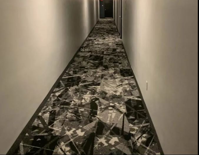 Fotoda pişik haradadır? - DİQQƏT TESTİ