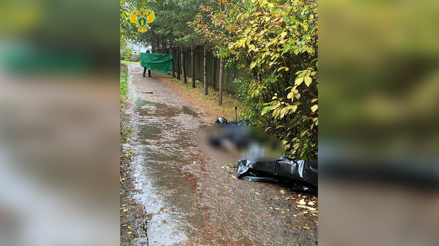 Moskvada boynundan bıçaq xəsarəti alan qadın meyiti tapılıb