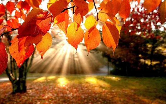 Temperatur yüksələcək