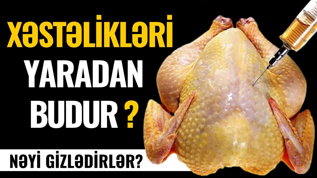 Bu videoya baxmadan TOYUQ ƏTİ YEMƏYİN! 