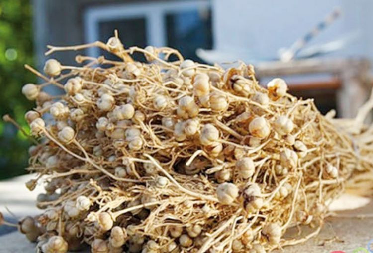 Ədliyyə Nazirliyindən üzərliklə bağlı vətəndaşlara XƏBƏRDARLIQ&nbsp;