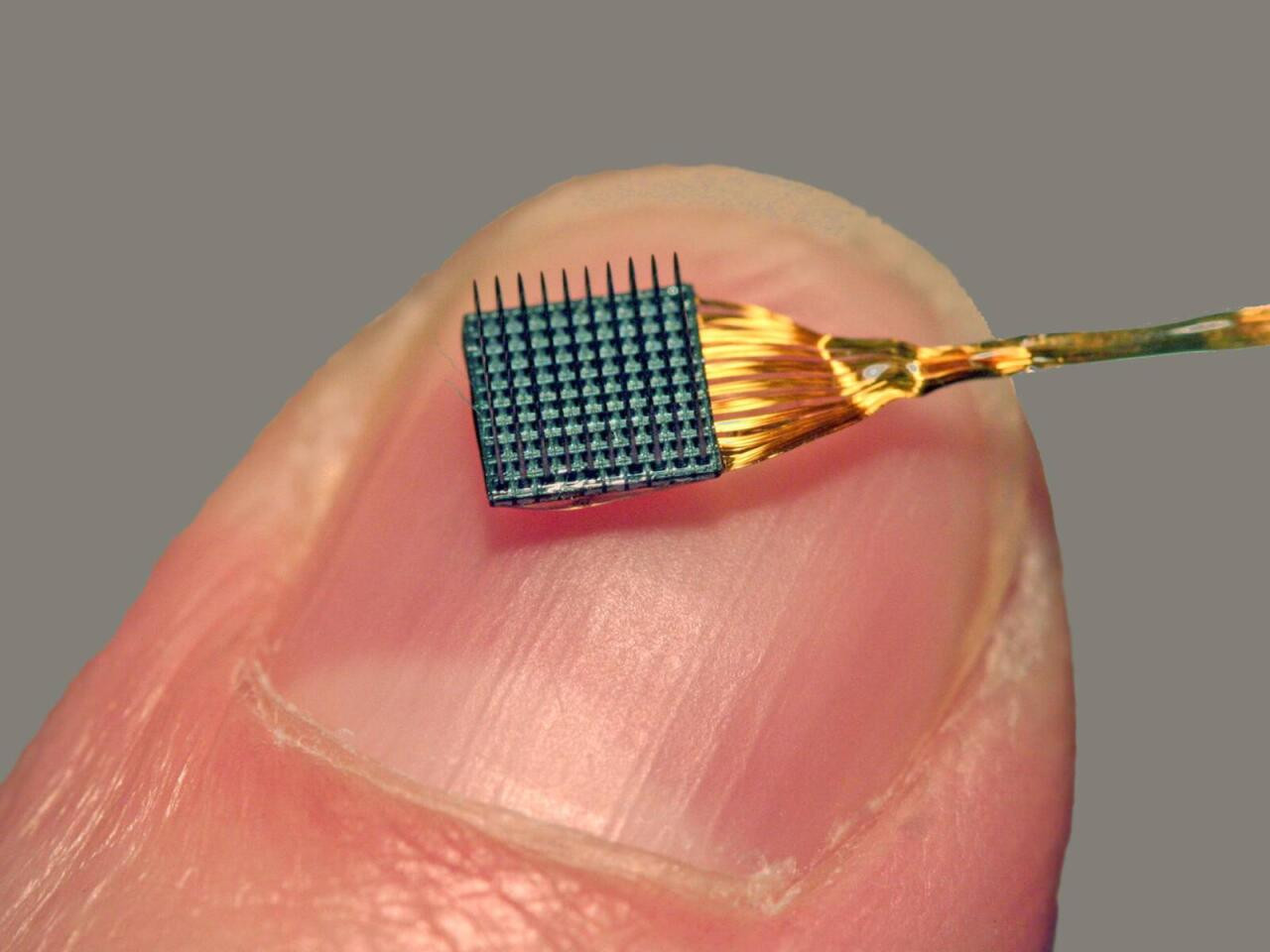 Fikri səsə çevirən çip hazırlanır&nbsp;