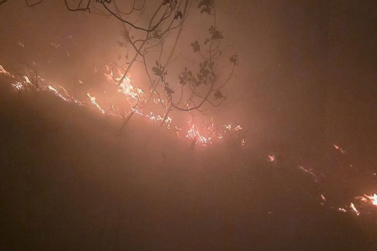 Türkiyədə meşəyə ildırım düşüb, yanğın başlayıb&nbsp;