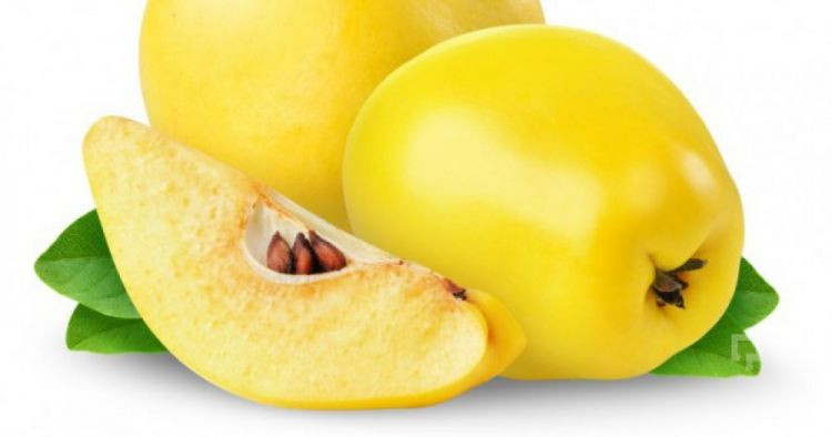 Heyvanın bu FAYDALARI VAR İMİŞ