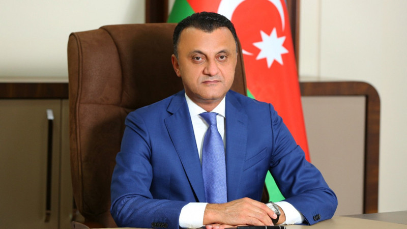 TƏBİB sədri bu xanımı Eldar Abbasovun yerinə gətirdi&nbsp;