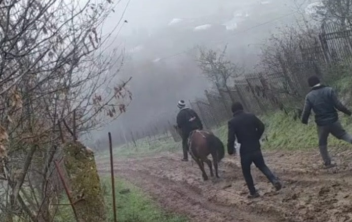 Bu kənddə uşaqlar dərsə atla gedirlər — Sinifləri bağlanıb,yolları da yoxdur   (VİDEO)