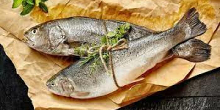 “Araz” supermarketlərdə Balıq festivalı!