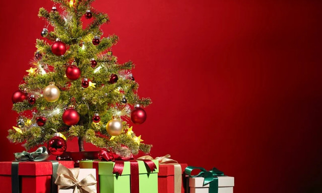 MARAQLI \"Yolka\"nı evin bu yerlərinə qoymusunuzsa, DƏRHAL GÖTÜRÜN