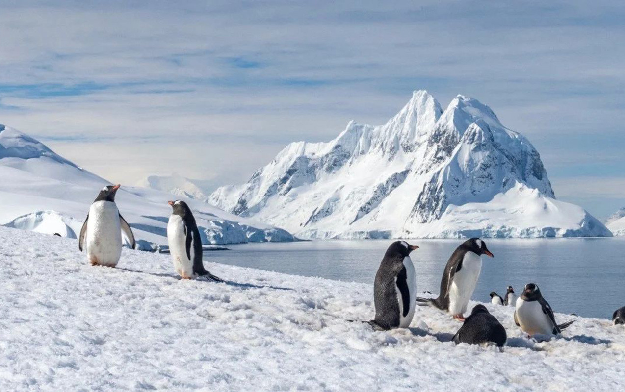 Antarktidada itən robot 9 ay sonra qorxulu məlumatlarla geri döndü&nbsp;