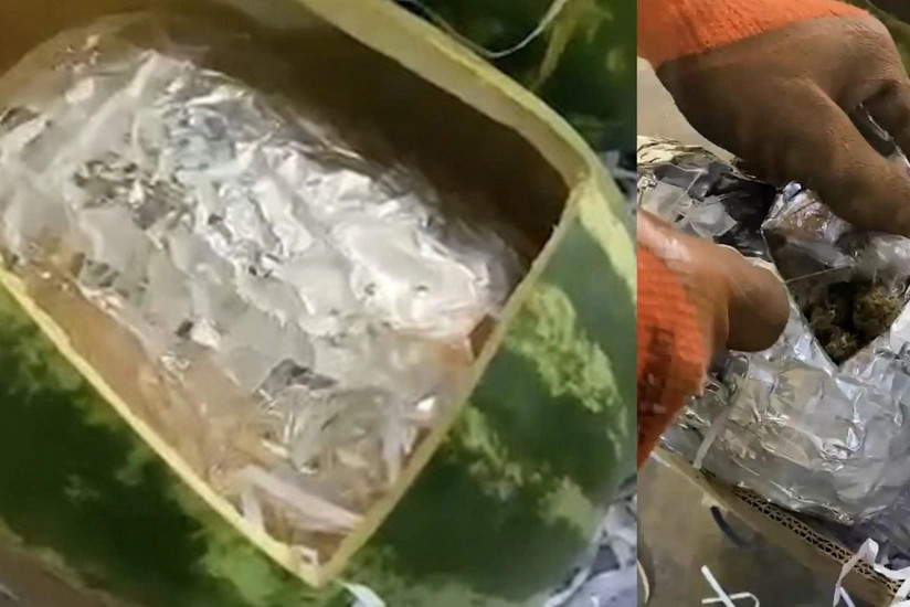 İt qarpızdan narkotik tapdı -&nbsp; Gömrükdə əməliyyat