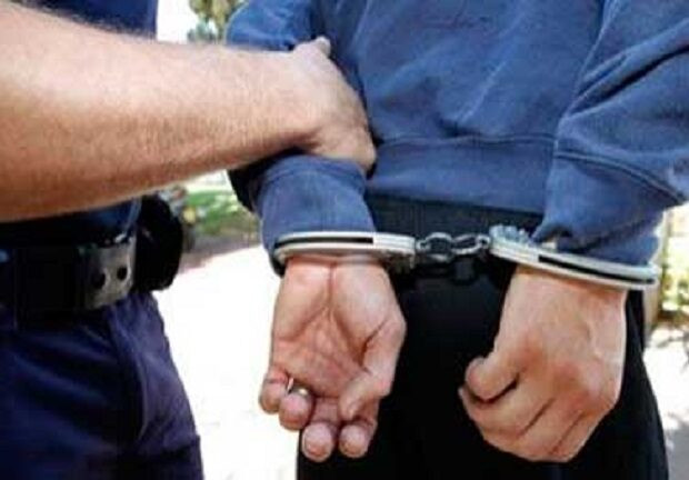 Tural Səmədzadə Azərbaycana ekstradisiya edildi 