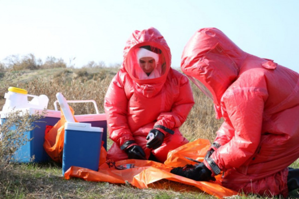 Azərbaycanda quş qripinə yoluxan varmı? - Rəsmi AÇIQLAMA 
