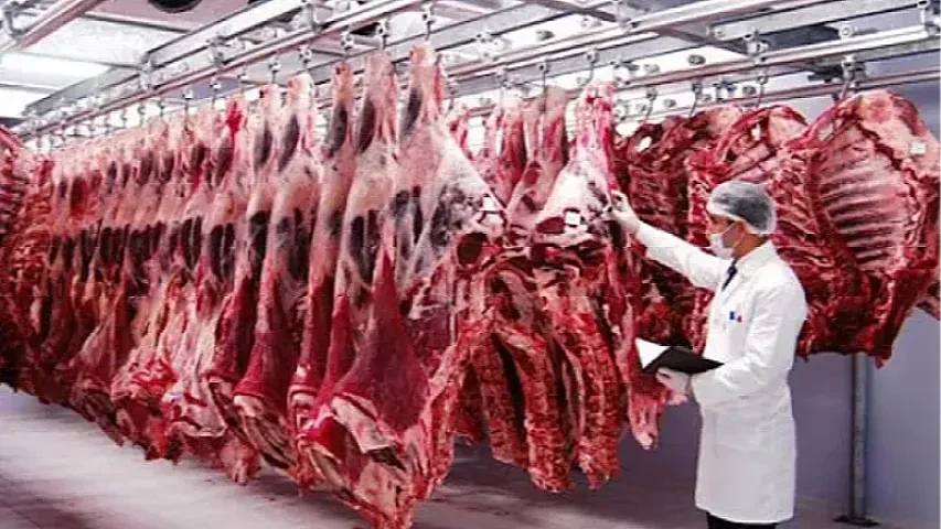 Azərbaycanda bu ölkələrdən gətirilən ətlər satılır - SİYAHI