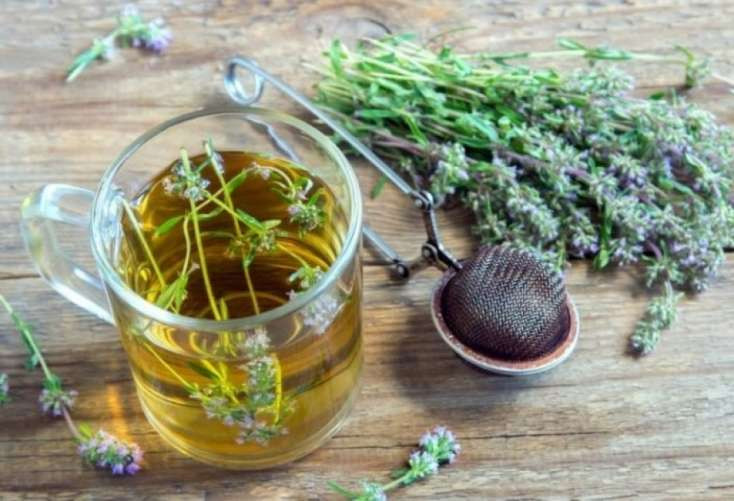 Kəklikotunun faydaları&nbsp;