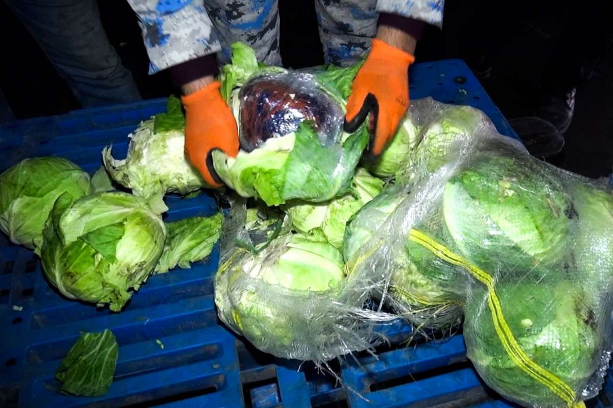 Kələmin içində narkotik AŞKARLANDI