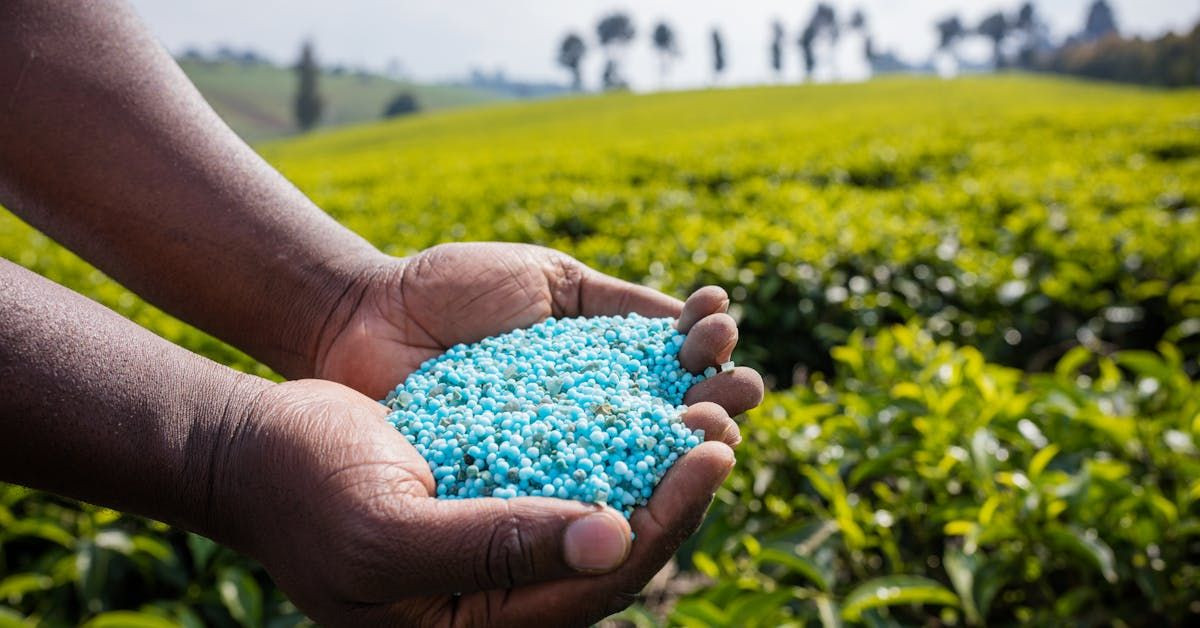 Gübrə ətrafında qalmaqal&nbsp; &nbsp; —&nbsp; &nbsp;Kimlərin adları hallanır?