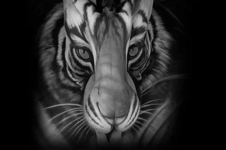 Şəkilə baxın, əslində kim olduğunuzu öyrənin – Şəxsiyyət TESTİ 