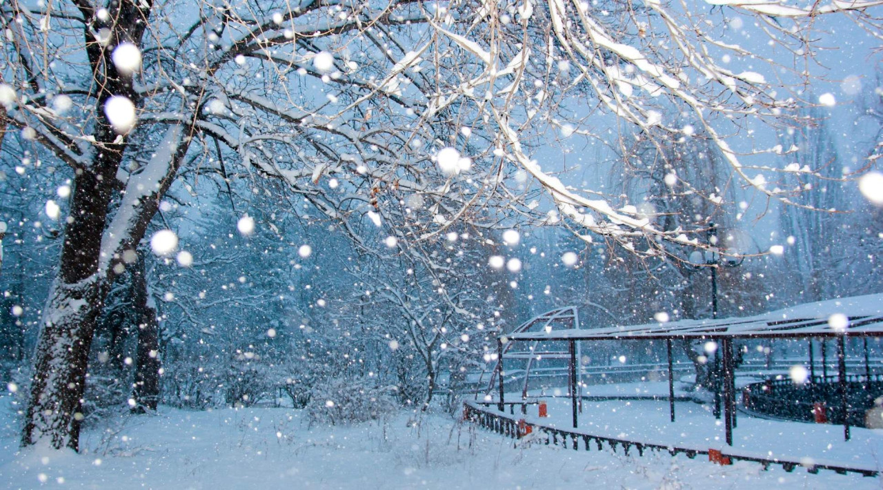 Rəsmi AÇIQLAMA: Yanvarın 18-dən 19-na keçən gecə...