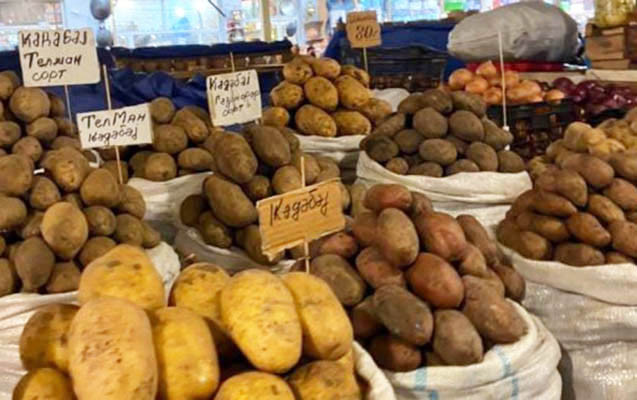 SOS: Əhaliyə texniki kartof satılır? – ARAŞDIRMA 