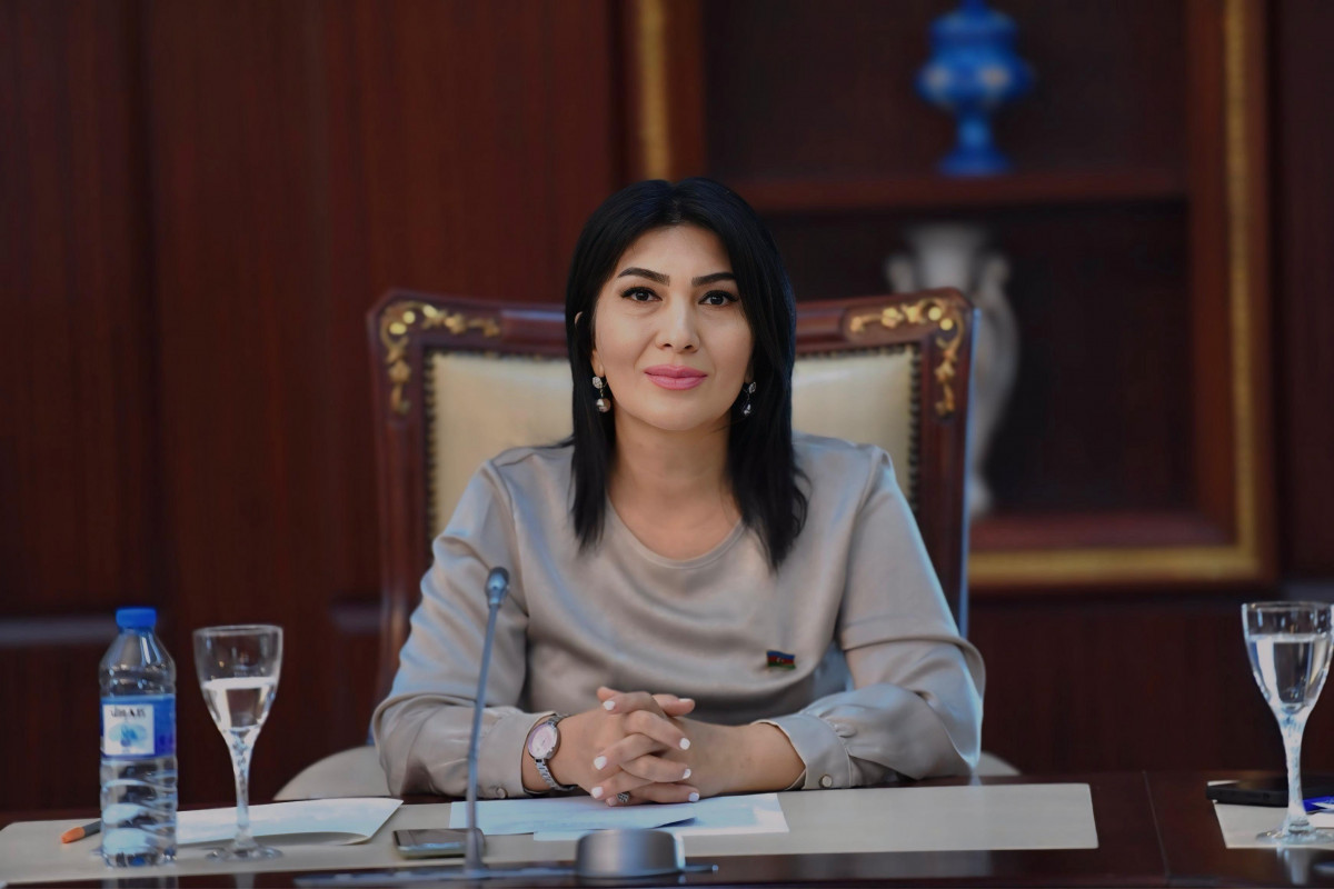 \"20 Yanvar faciəsinə ilk prinsipial və cəsarətli siyasi-hüquqi qiyməti Ümummilli Lider Heydər Əliyev verdi\"&nbsp; - Elnarə Akimova