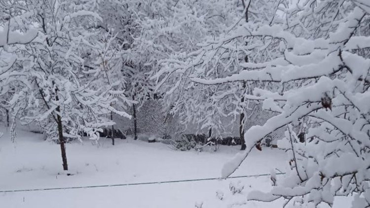 Milli Hidrometeorologiya Xidməti xəbərdarlıq edir:&nbsp; Yanvarın 28-i axşamdan 29-u gündüzədək...