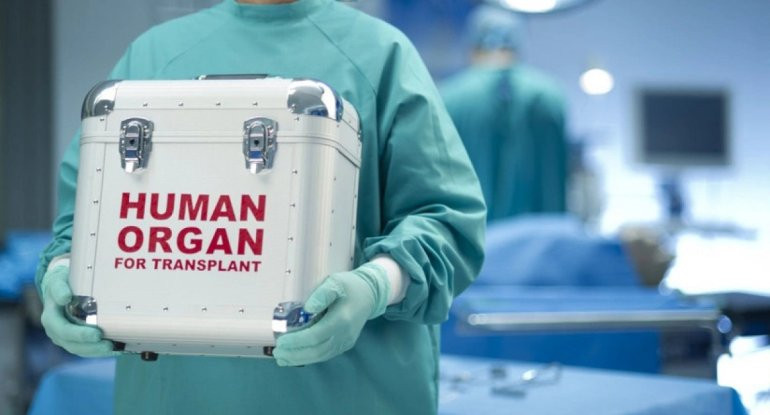 Xəstəyə eyni anda ürək-damar və böyrək köçürüldü - Azərbaycanda İLK