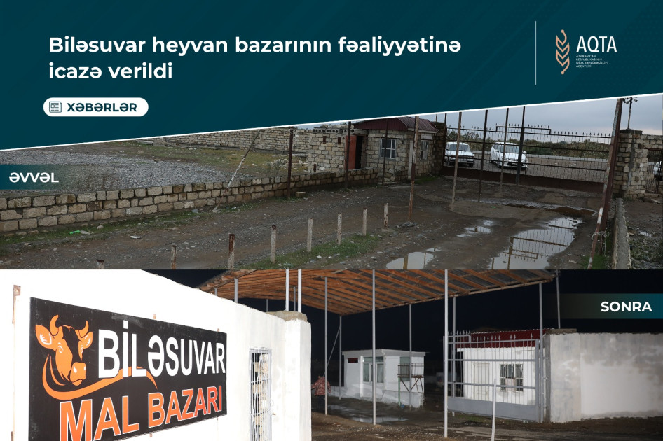 Biləsuvardakı heyvan bazarının fəaliyyətinə icazə verilib 