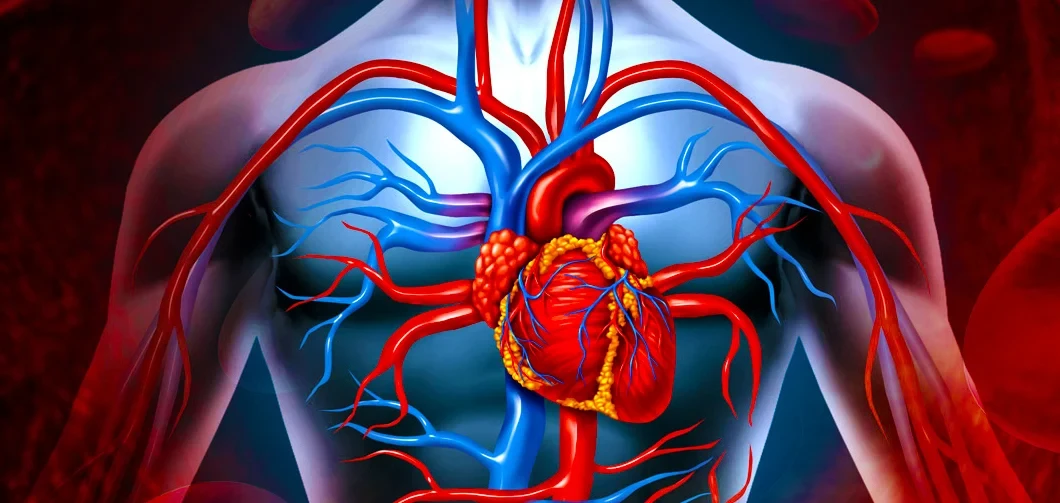 Damarlarımızı nə tutur? - Cavabı AÇIQLANDI