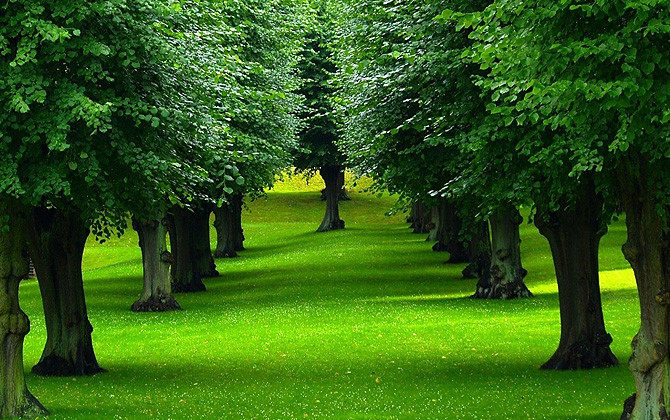 Marta qədər kim çatdırıb edə bilsə, bəxti gətirdi — Bəhrəsini yayda görəcək 