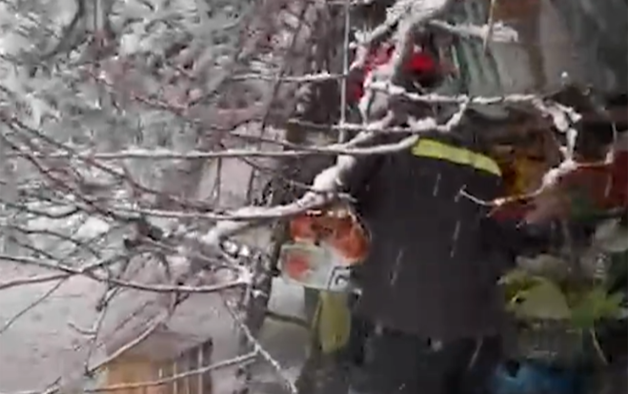 60 yaşlı qadının üzərinə ağac aşdı - Video 