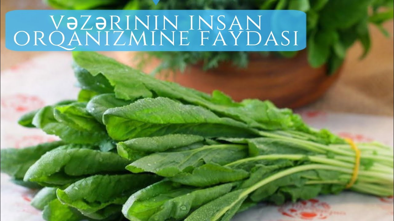 Vəzəri kimlərə xeyir,kimlərə ziyandır?&nbsp; &nbsp;—&nbsp; &nbsp;AÇIQLAMASI