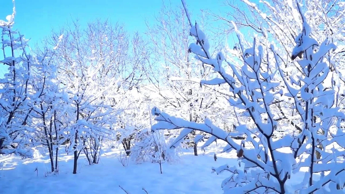 Milli Hidrometeorologiya Xidməti qarla bağlı XƏBƏRDARLIQ ETDİ