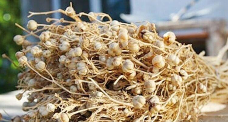 Üzərliklə bağlı əhaliyə XƏBƏRDARLIQ EDİLDİ