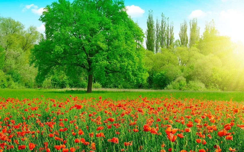 Yaz fəsli bu tarixdə Azərbaycana daxil olacaq