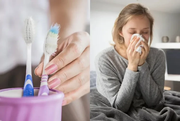 \"Tez-tez xəstələnirsinizsə, səbəb diş fırçanız ola bilər\" - AÇIQLAMA