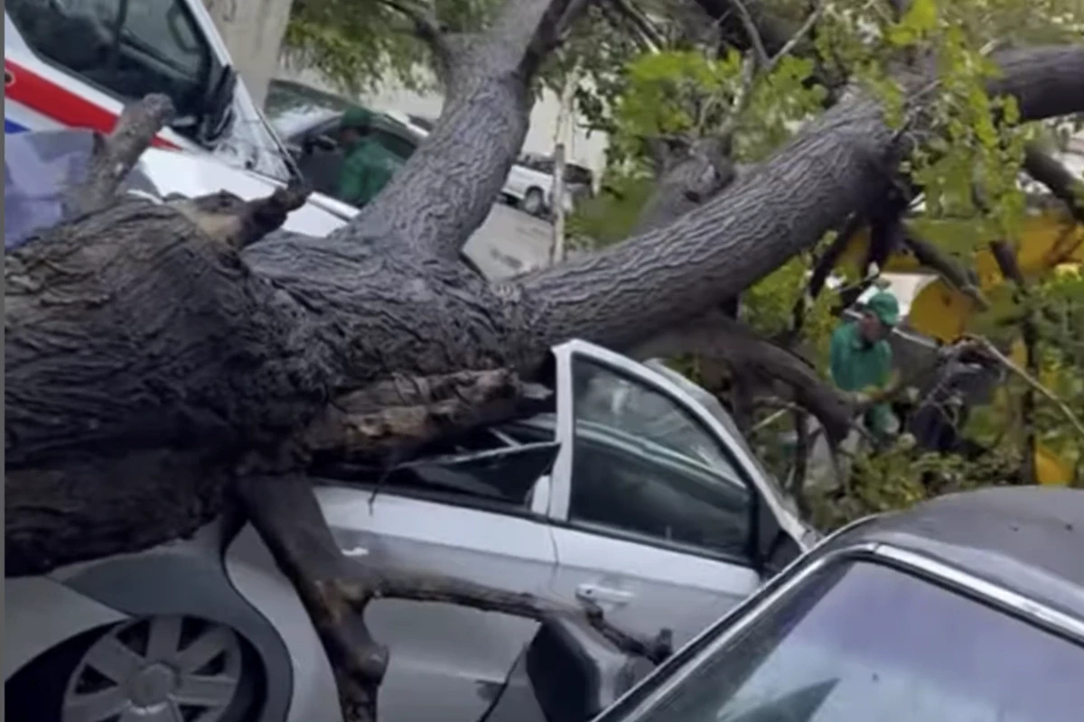 Güclü külək fəsadlar törətdi-Video