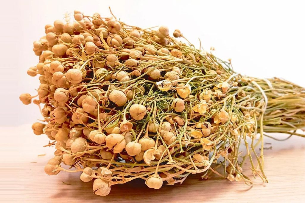 Üzərliyin tərkibində bu maddələr&nbsp; var imiş   —  Həkim faydalarını AÇIQLADI&nbsp;&nbsp;