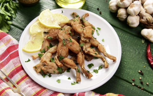 Azərbaycan 1 ildə 23 ton qurbağa əti satıb 