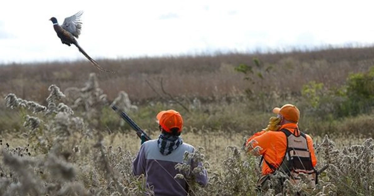 Qanunsuz ov edənlər 6000 manat cərimələndi&nbsp;