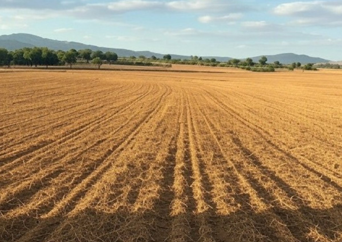 Bu halda bələdiyyət torpaqlarını icarəyə vermək OLMAYACAQ