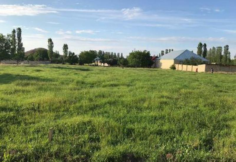 Özbaşına tutulmuş bələdiyyə torpaqlarının aqibəti necə olur?&nbsp;&nbsp;