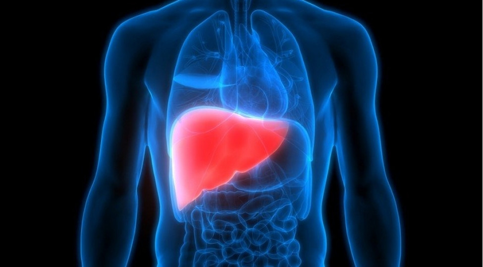 \"Qaraciyərin bərkiməsi\" nədir?