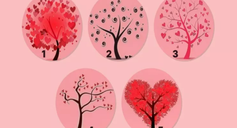 Siz xeyirxah insansınız - Hansı ağacı seçərdiniz? - Psixoloji TEST&nbsp;&nbsp;